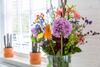Bij Jans B&B