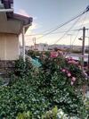 Apartamento Cozy House 3