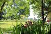 Bed & Breakfast Maison Poche