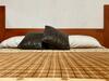 Apartamento Departamentos En Excelente Ubicaci�n