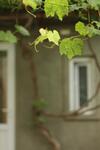 Apartamento Berki House