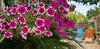 Apartman Paradiso