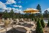 Tamarron Highpoint - 584