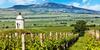Apartm�n U Pl�?e S Terasou