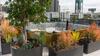 Apartamento The Midnight Loft By Bobou Design (King Suite)