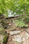 Green Lodge