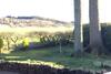 Heron Lodge, Edge Of Mabie Forest Dumfries