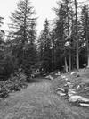 Chalet Val Ferret Courmayeur Mont Blanc Exclusive