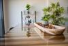 Luxury Apartment