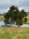 Somerton Barn: Alpacas, Cattle & Amazing Views