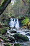Hewenden Mill Holiday Homes