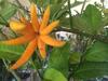 Hostal Ch�teau De Saint Loup