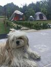 Emun� Campestre