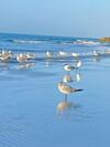 Apartamento Frente Al Mar Cartagena