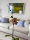 Apartamento Frente Al Mar Cartagena