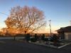 City View Motel