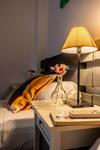 Apartamento Recaredo Suite