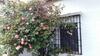 Villa Beautiful Cortijo With Pool Near Ronda