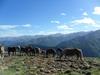 Camping Le Haut Salat