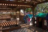 Hotel Blazing Star Resort