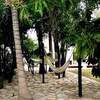 Hotel Biza Express