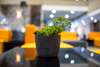 Th Hotel & Vivienda