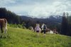 Hotel Forsthofalm