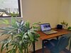 Aparthotel New Land Apartment - Nam Thong 3