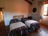 Lodge Nespolo Due