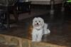 Bed & Breakfast Luna House Moyo Wa Dunia Ltd