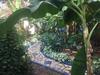 Albergue Sana El Jardin Secreto
