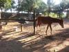 Agroturismo Chacara Santa Barbara