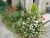 Bed & Breakfast Ferme Manoir La Fiere