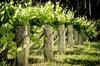 Agroturismo Casa Rural Entre Os R�os