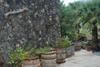 Apartamentos Finca Wapa
