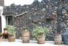 Apartamentos Finca Wapa
