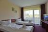 Hostal Serena Guesthouse Bran