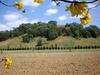 Agroturismo Crystal Creek Country Stay