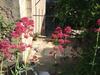 Gite Du Vignoble Car�me