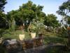 Villa The Raja Singha Boutique Resort Bali