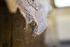 Agroturismo Country House Case Catalano