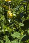 Agroturismo Country House Case Catalano