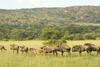 Kedar Country Lodge, Conference Centre & Spa
