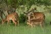 Kedar Country Lodge, Conference Centre & Spa