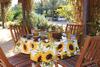 Rotem`s Guest House