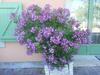 Bed & Breakfast H�bergements Insolites En Cabanes