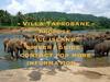 Bed & Breakfast Villa Taprobane