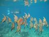 Viviendas Turisticas Punta Bulata White Beach Resort & Spa