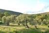 Agroturismo Casa Rural Las Fuentes de �gata