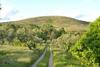 Agroturismo Casa Rural Las Fuentes de �gata